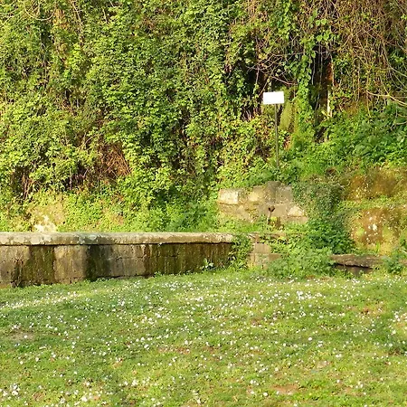 Agriturismo Raponi Alloggio per agriturismo *