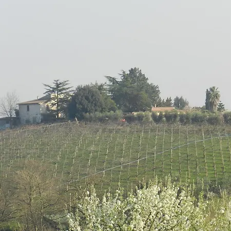 Alloggio per agriturismo Agriturismo Raponi *
