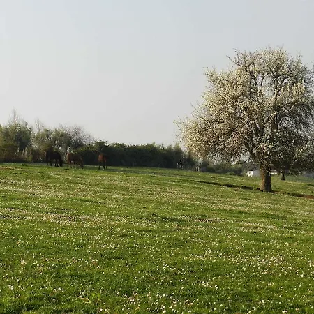 Alloggio per agriturismo Agriturismo Raponi Giulianello