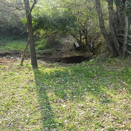 Alloggio per agriturismo Agriturismo Raponi