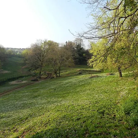 Alloggio per agriturismo Agriturismo Raponi